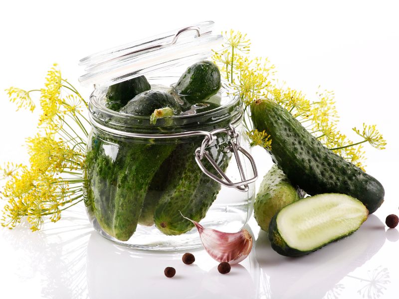 Perfectly Tangy and Crunchy: A Step-by-Step Recipe for Homemade Lacto-Fermented Pickles